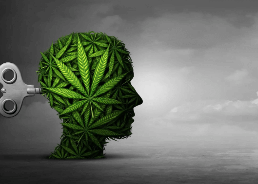 Can Cbd Cause Psychosis