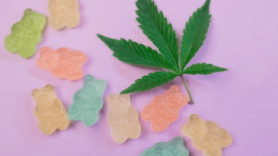 Can You Fly With Cbd Gummies