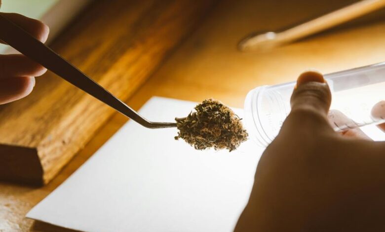 cbd and military drug testing