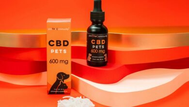 cbd oil duration in dogs