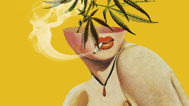 Best Dispensary in Mount Vernon for Cannabis Products