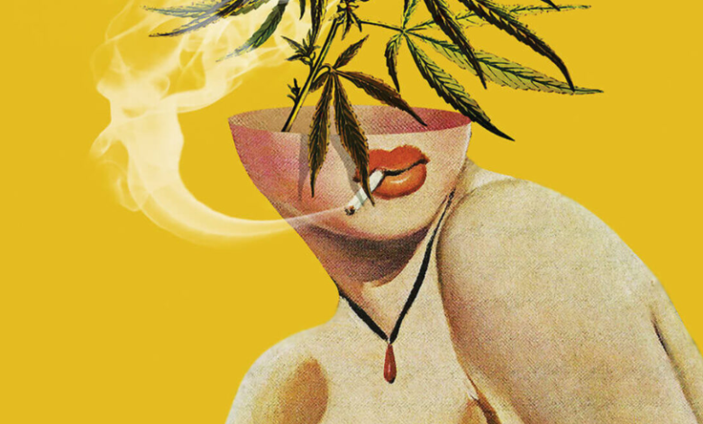 Best Dispensary in Mount Vernon for Cannabis Products