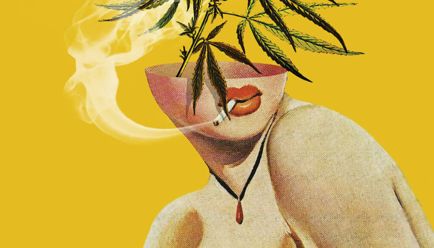Best Dispensary in Mount Vernon for Cannabis Products