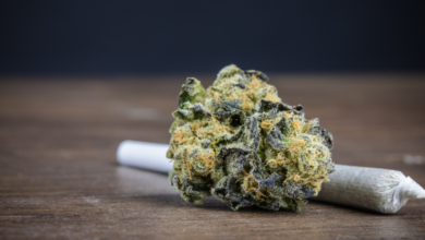 Cannabis Marketing Agency Social Ads That Drive Results