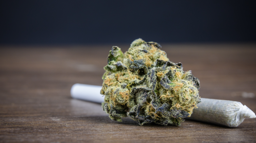 Cannabis Marketing Agency Social Ads That Drive Results