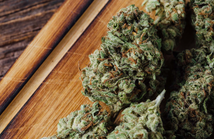 Breaking Cannabis News from Experts: Market & Regulation Updates